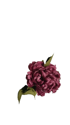 VARA PEONIA 80CM FUCSIA 274546