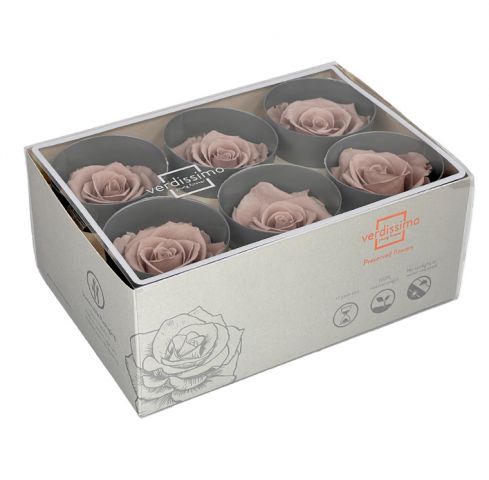 BOX 6 ROSAS STANDARD *HAZELNUT RST/2910