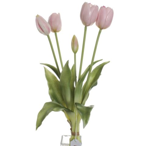 ATADO TULIPANES X5 *ROSA 7367