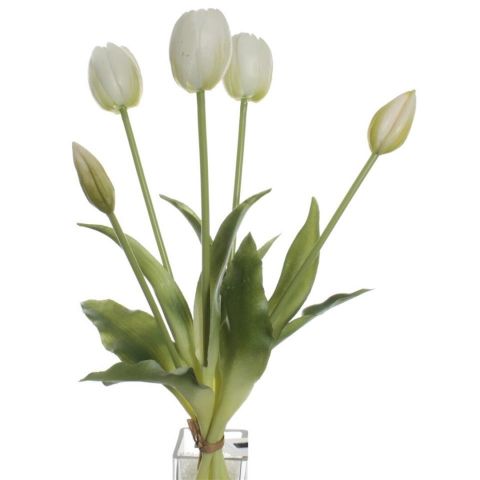 ATADO TULIPANES X5 *BLANCO 7346