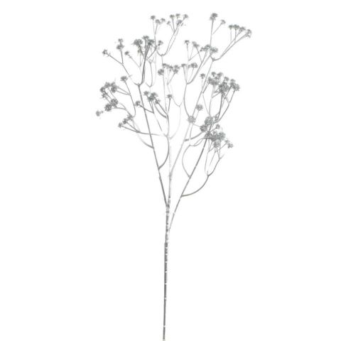 VARA GYPSOPHILA *PLATA 97024