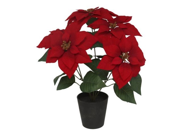 MACETA POINSETTIA C/PAPEL X5-54CM (ROJA)