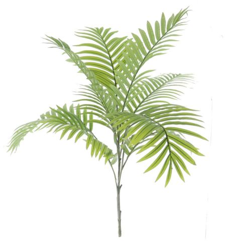 PLANTA ARECA 1 MT 7520-09